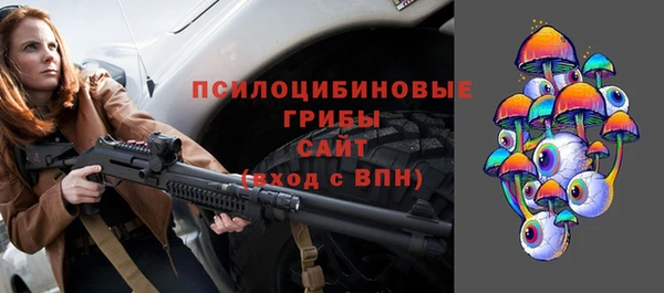 стафф Касимов