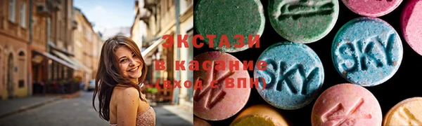 стафф Касимов