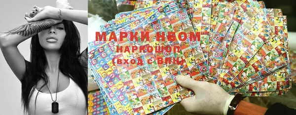 стафф Касимов