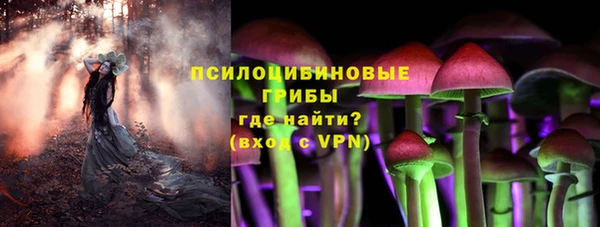 прущая мука Карпинск