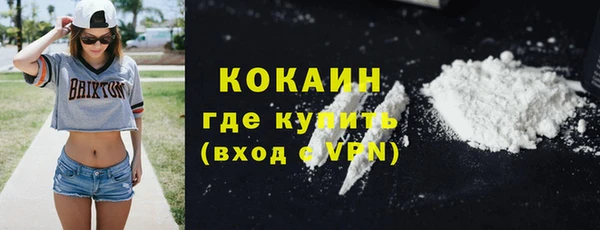 стафф Касимов