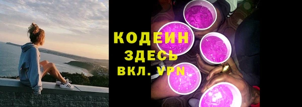 стафф Касимов