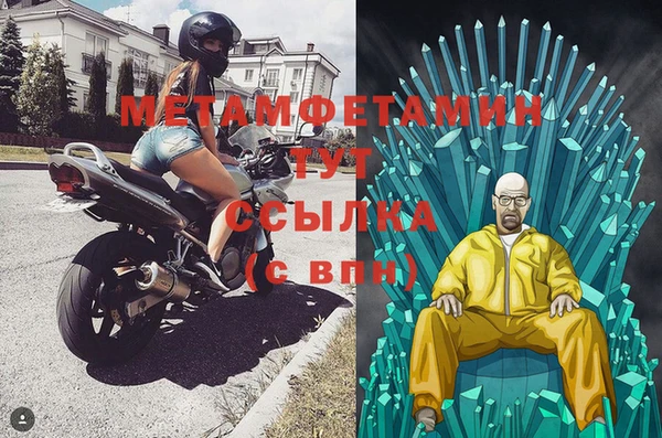 стафф Касимов